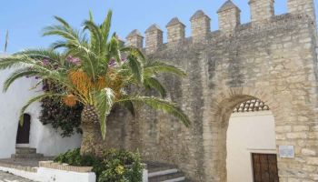 vejer