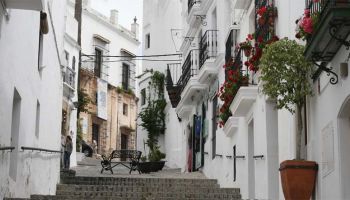 vejer
